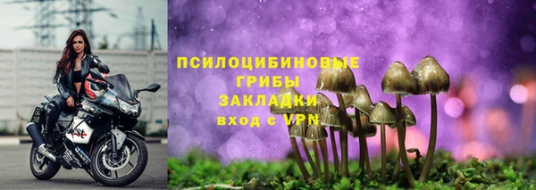 амф Мегион